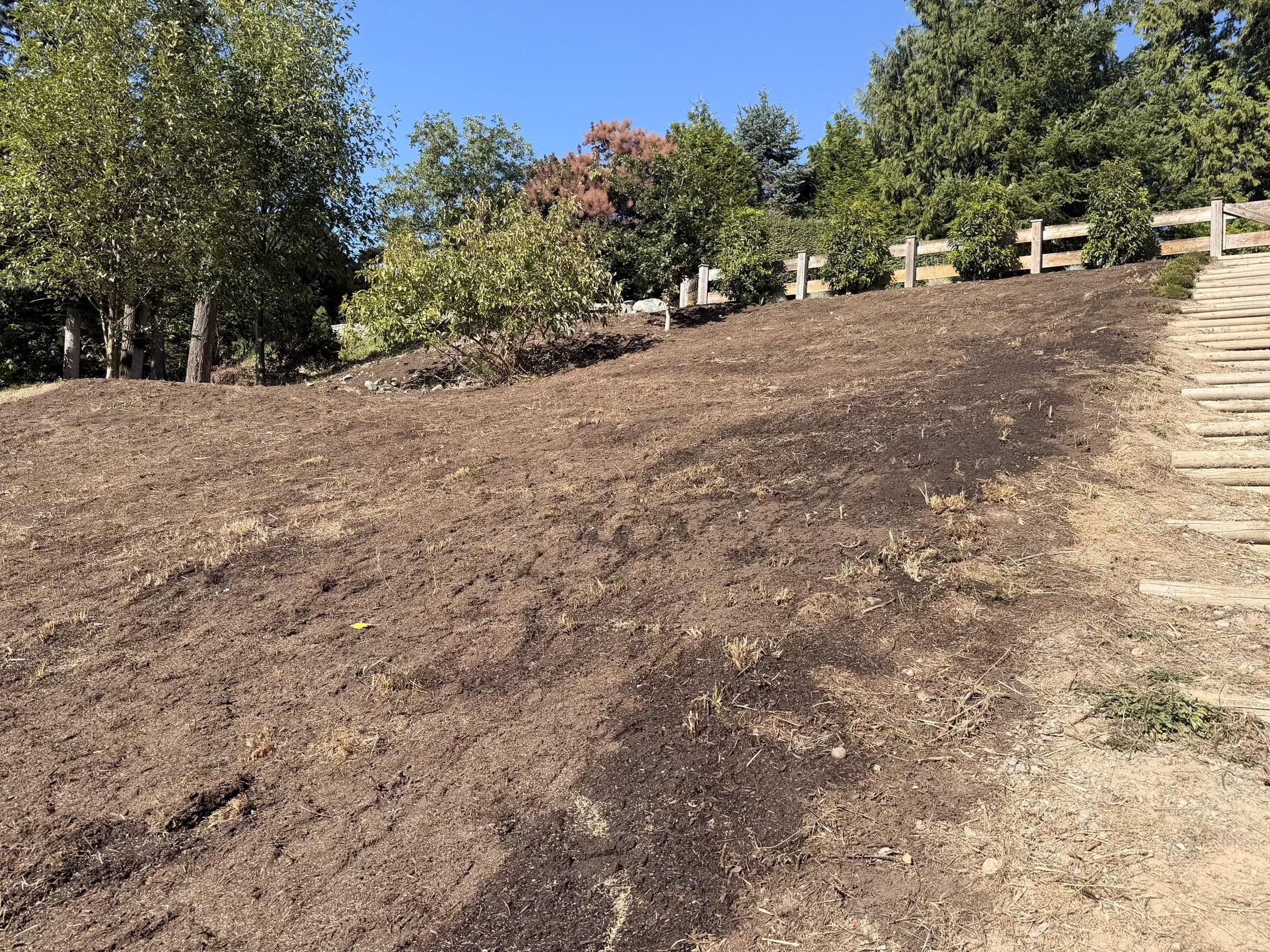 The same slope cleared, graded and topped with fresh soil