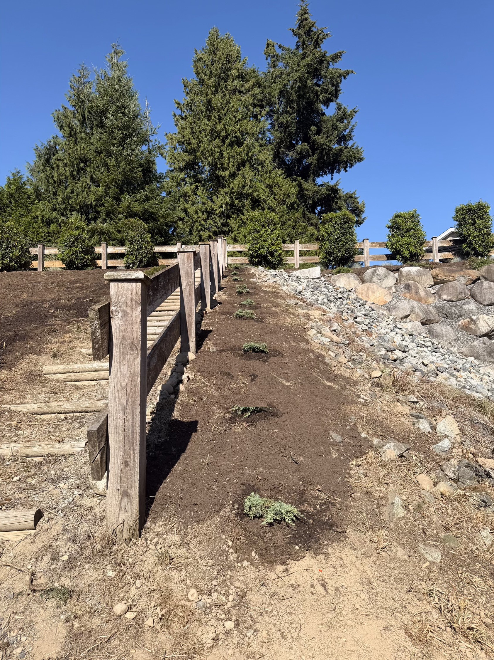 Finished slope with log steps running up beside the swale