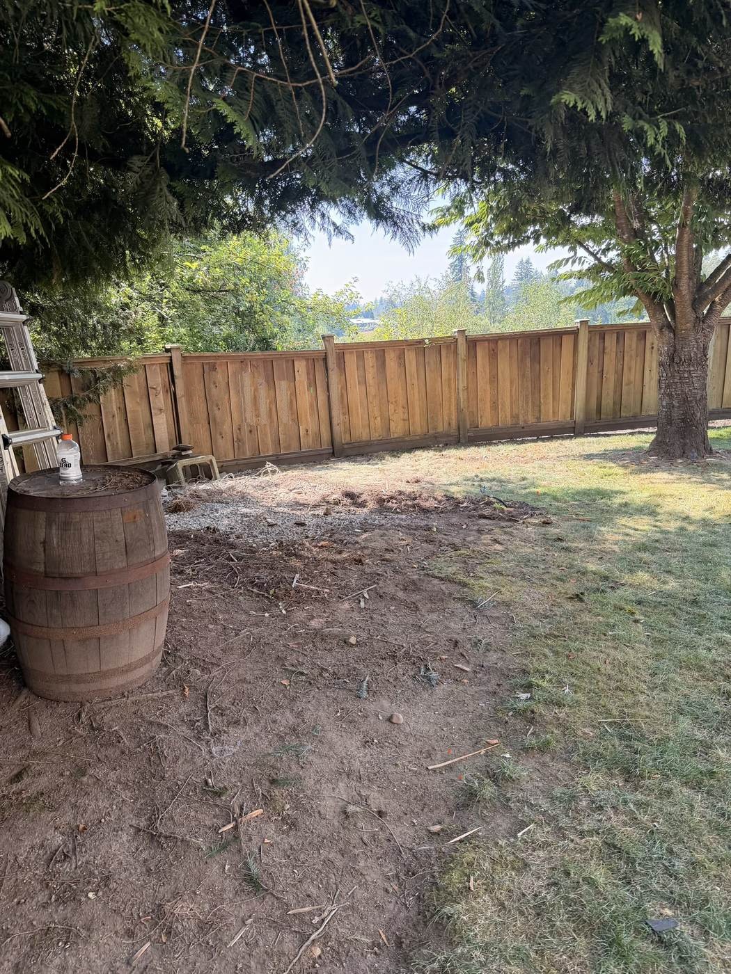Yard cleared of green waste and debris